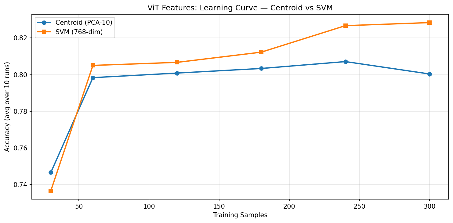 ViT learning curve