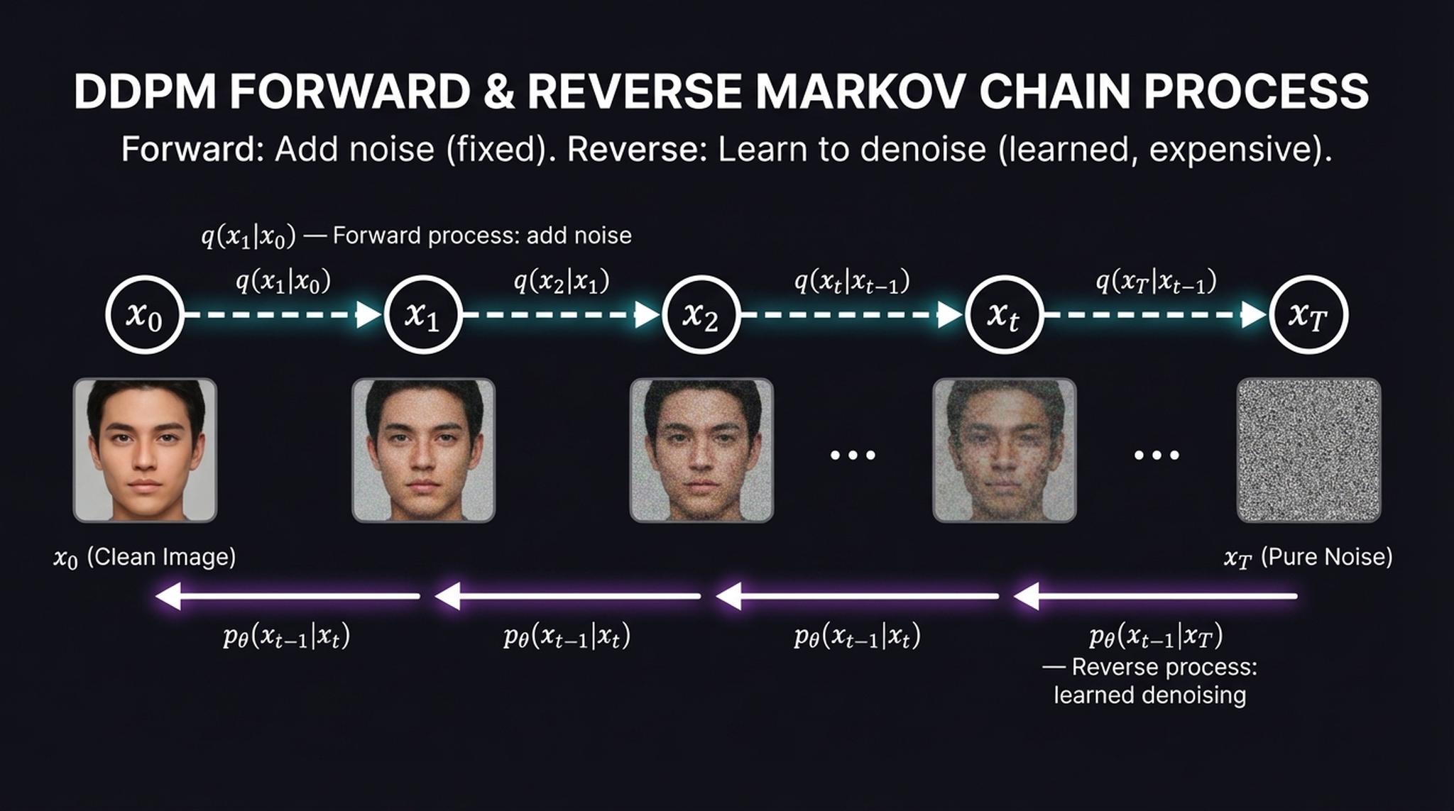 DDPM forward and reverse Markov chain diagram