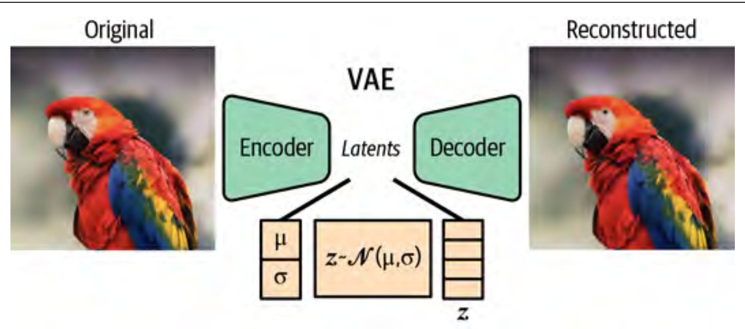 VAE architecture showing encoder producing μ and log σ², reparameterization, decoder