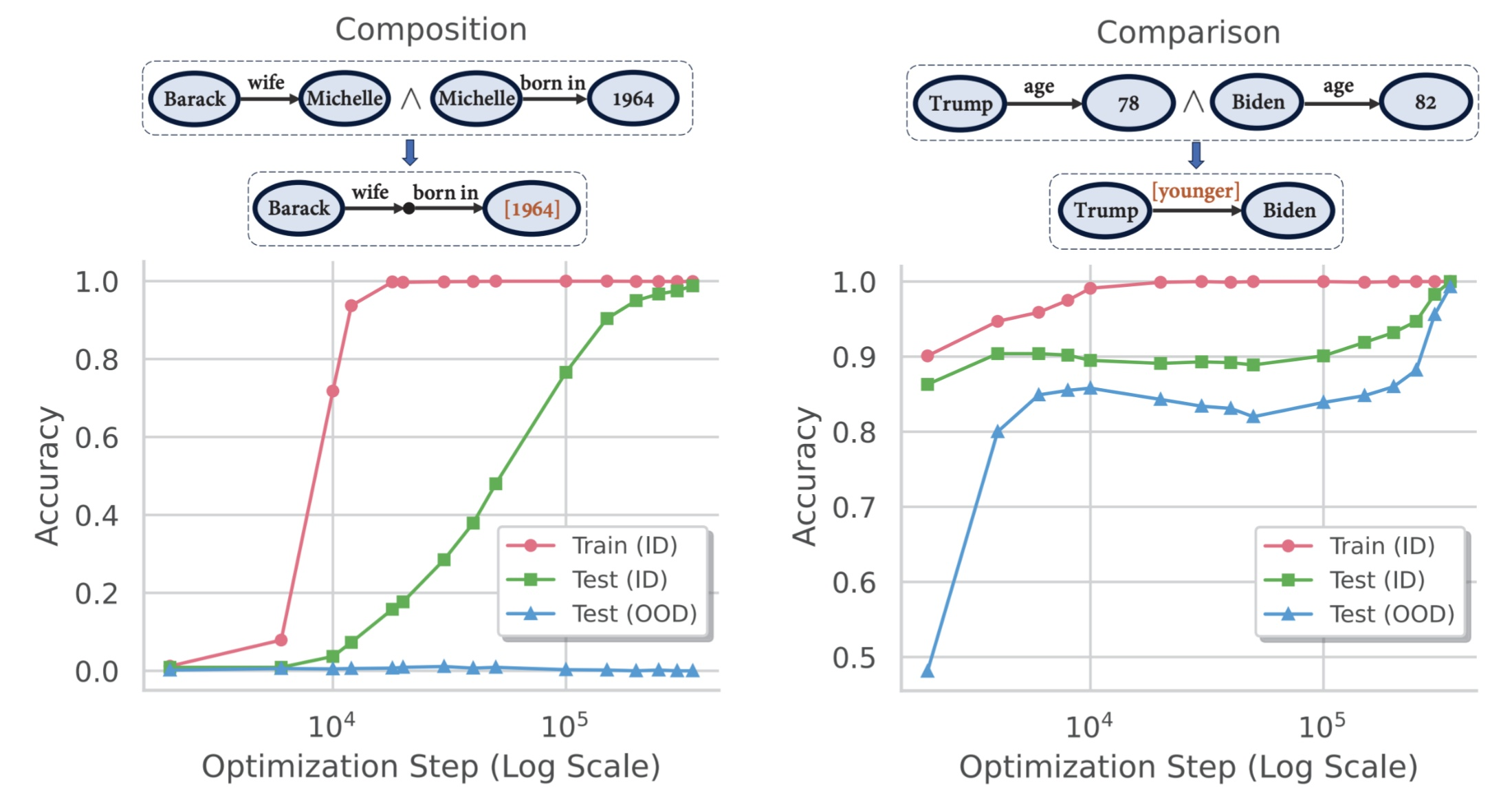 Training dynamics showing grokking