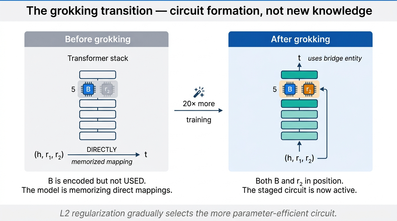 The grokking phase transition