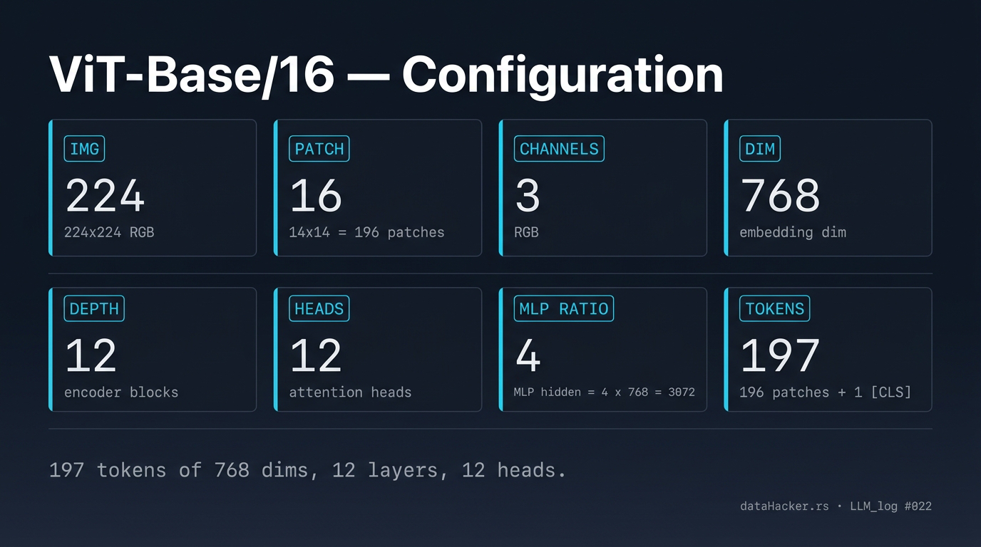 ViT-Base/16 configuration spec card