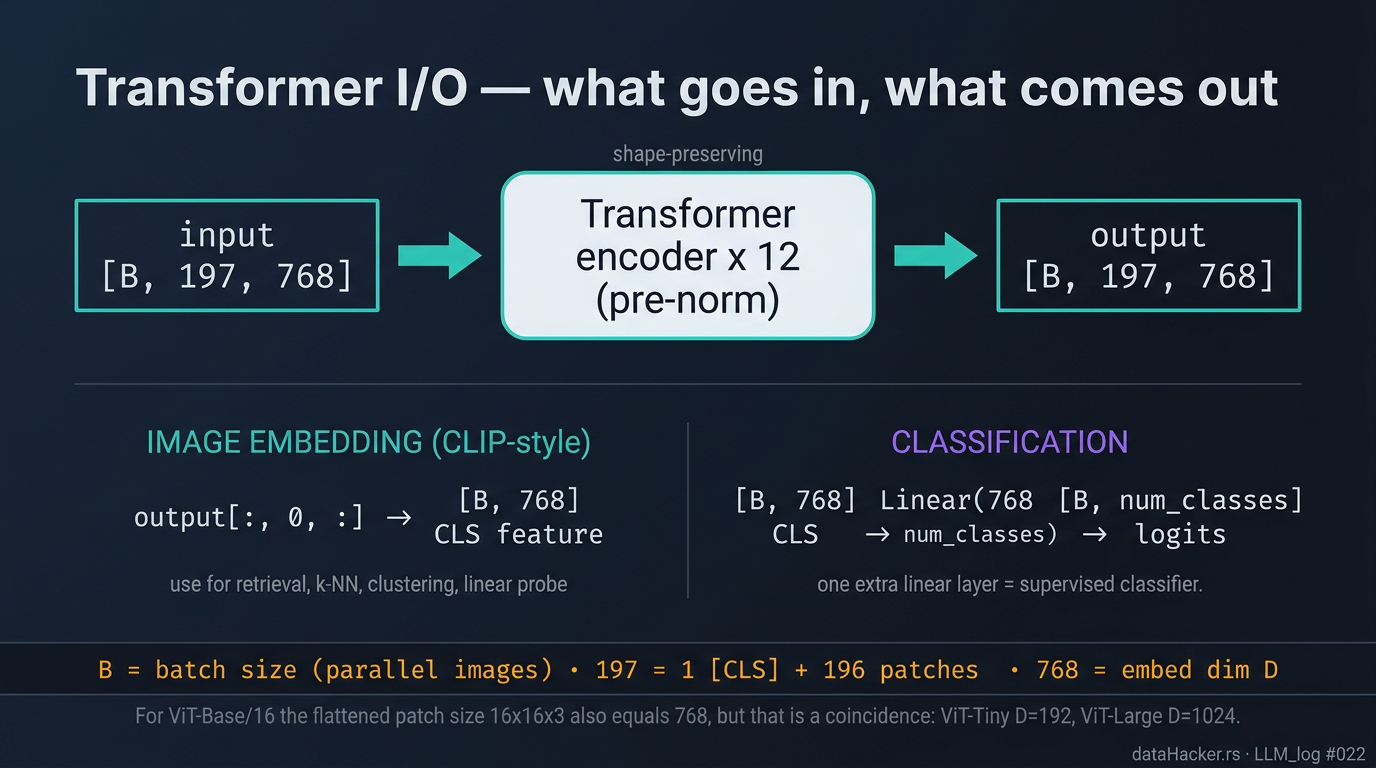 Transformer I/O - input and output have the same shape; take CLS for the image embedding or apply a linear head for class scores