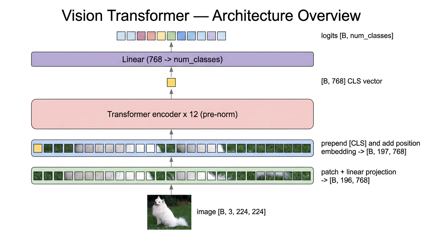 ViT architecture overview, bottom to top