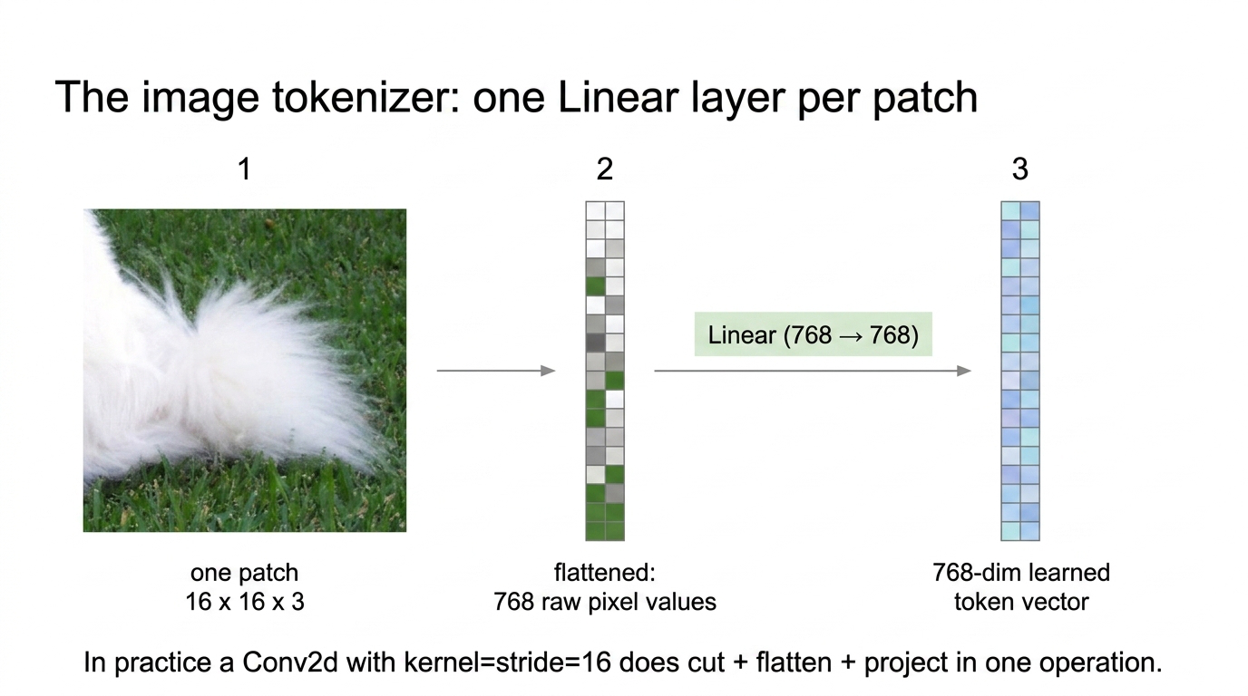 One patch flattened to 768 values and projected by Linear(768, 768) into a token