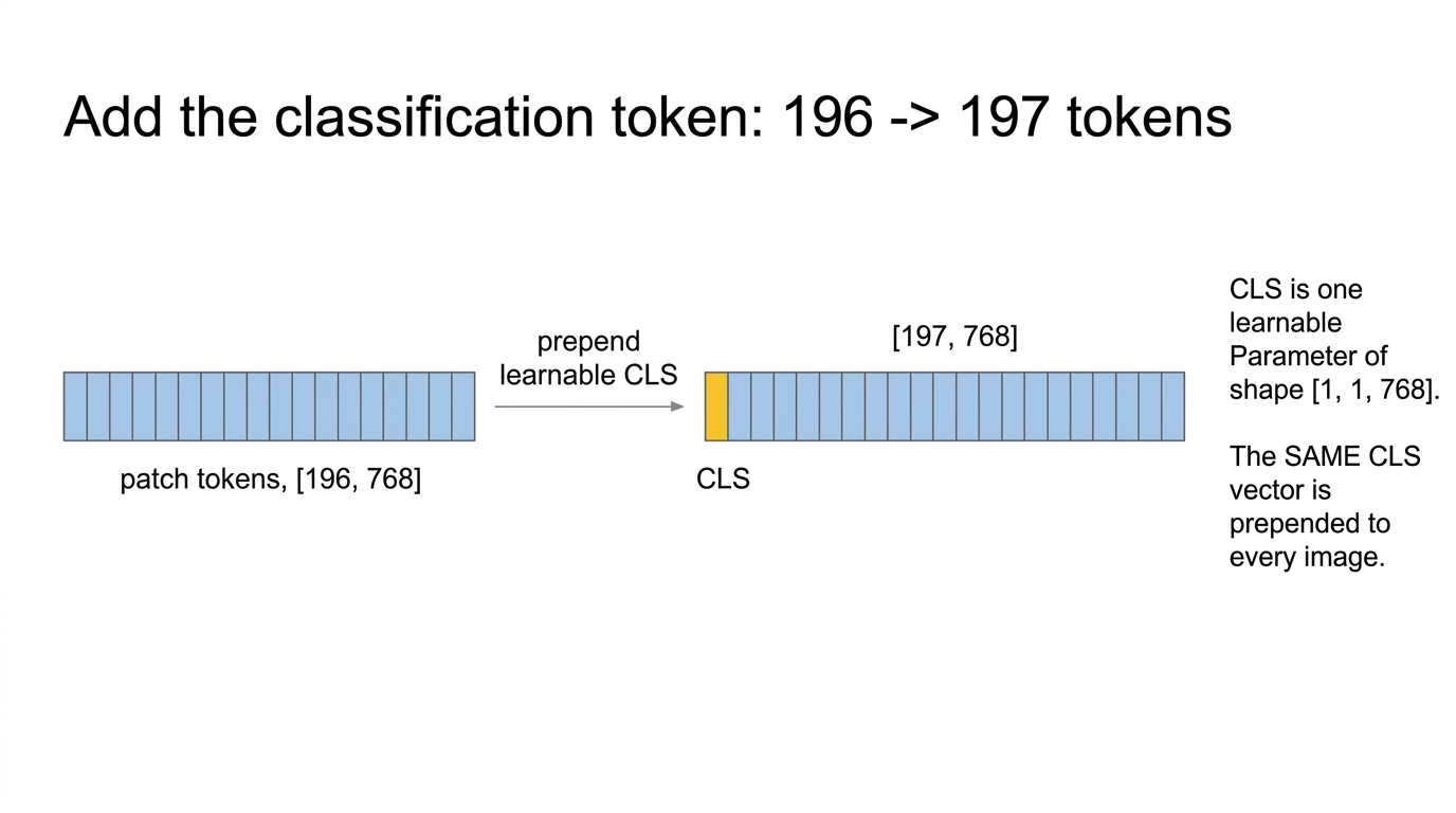 CLS token prepended to the 196 patch tokens, making 197