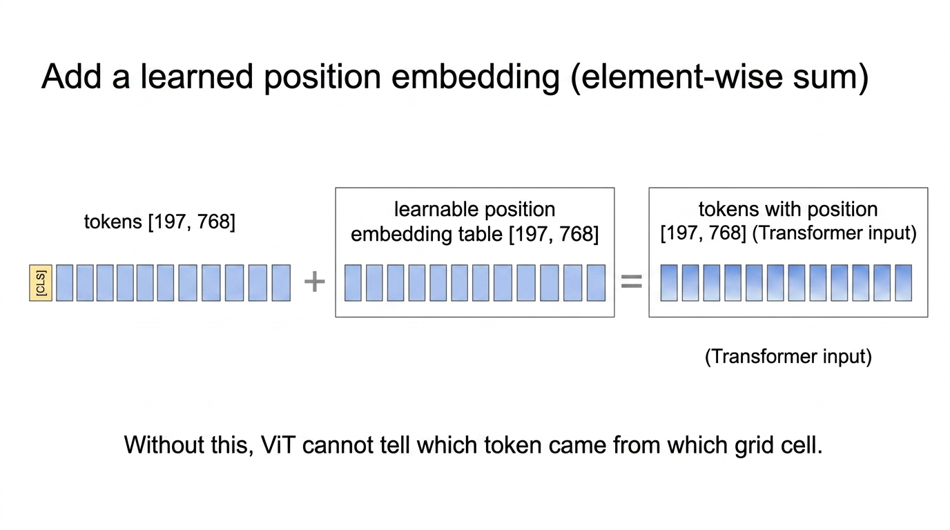 Position embedding added element-wise to the token matrix