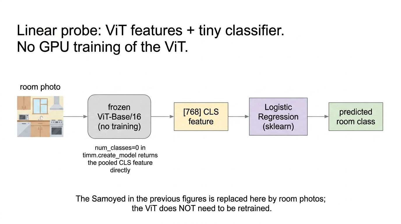 Linear probe pipeline: ViT features into LogisticRegression