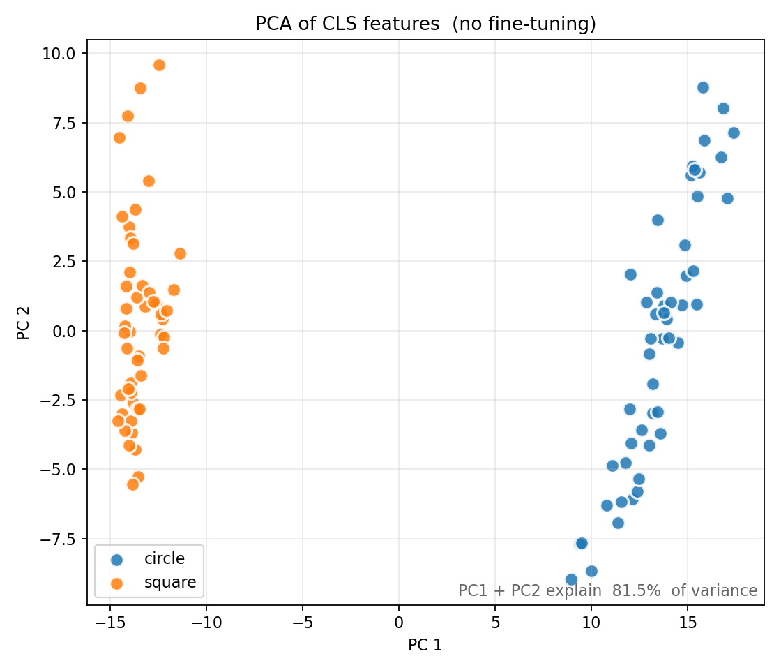 PCA of the 100 CLS feature vectors. Circles and squares are completely separated by PC1.
